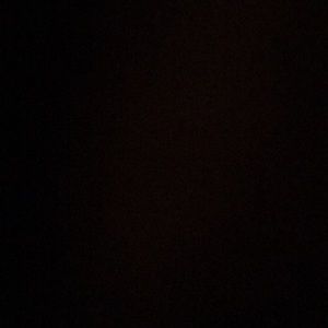 Meet your Posher, Bryant